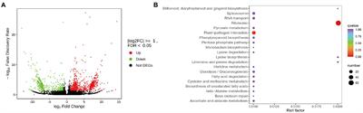 Multi-omics analysis reveals the molecular changes accompanying heavy-grazing-induced dwarfing of Stipa grandis